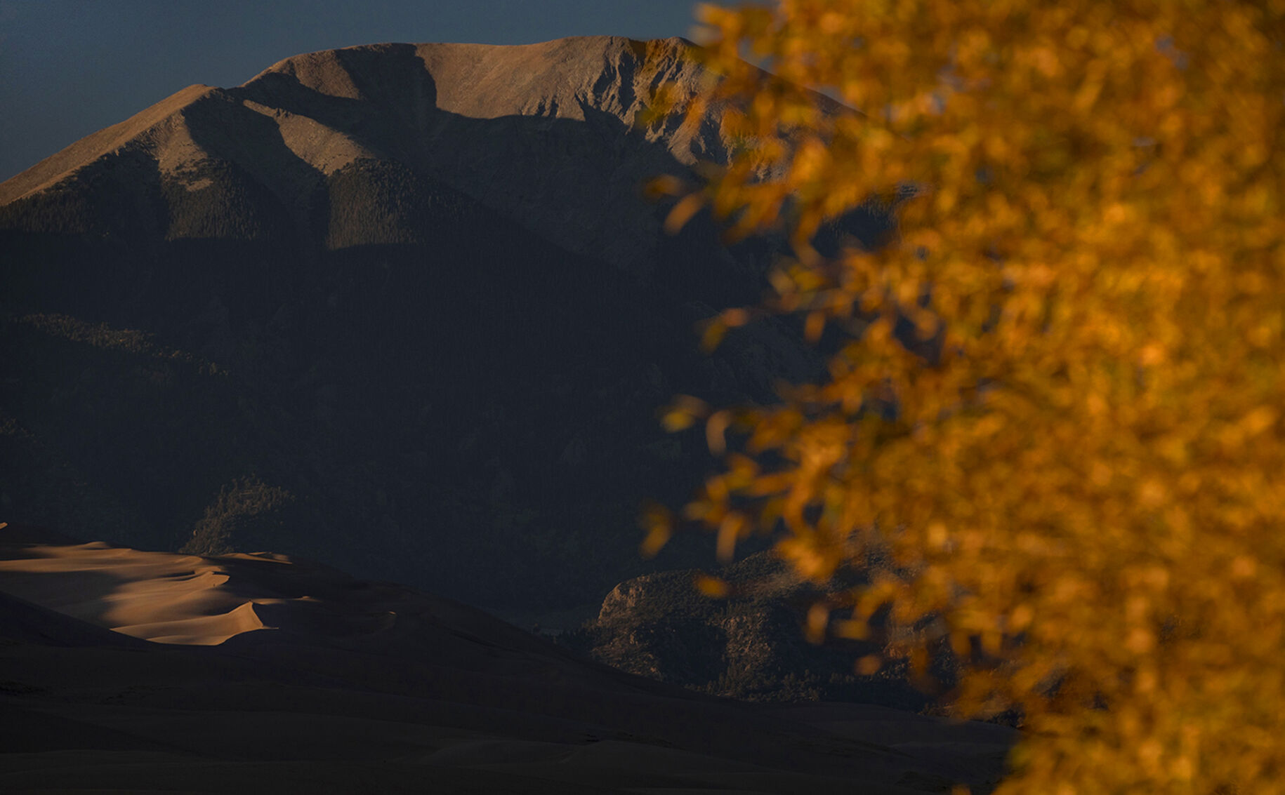 093020-news-colorsfall 04.jpg
